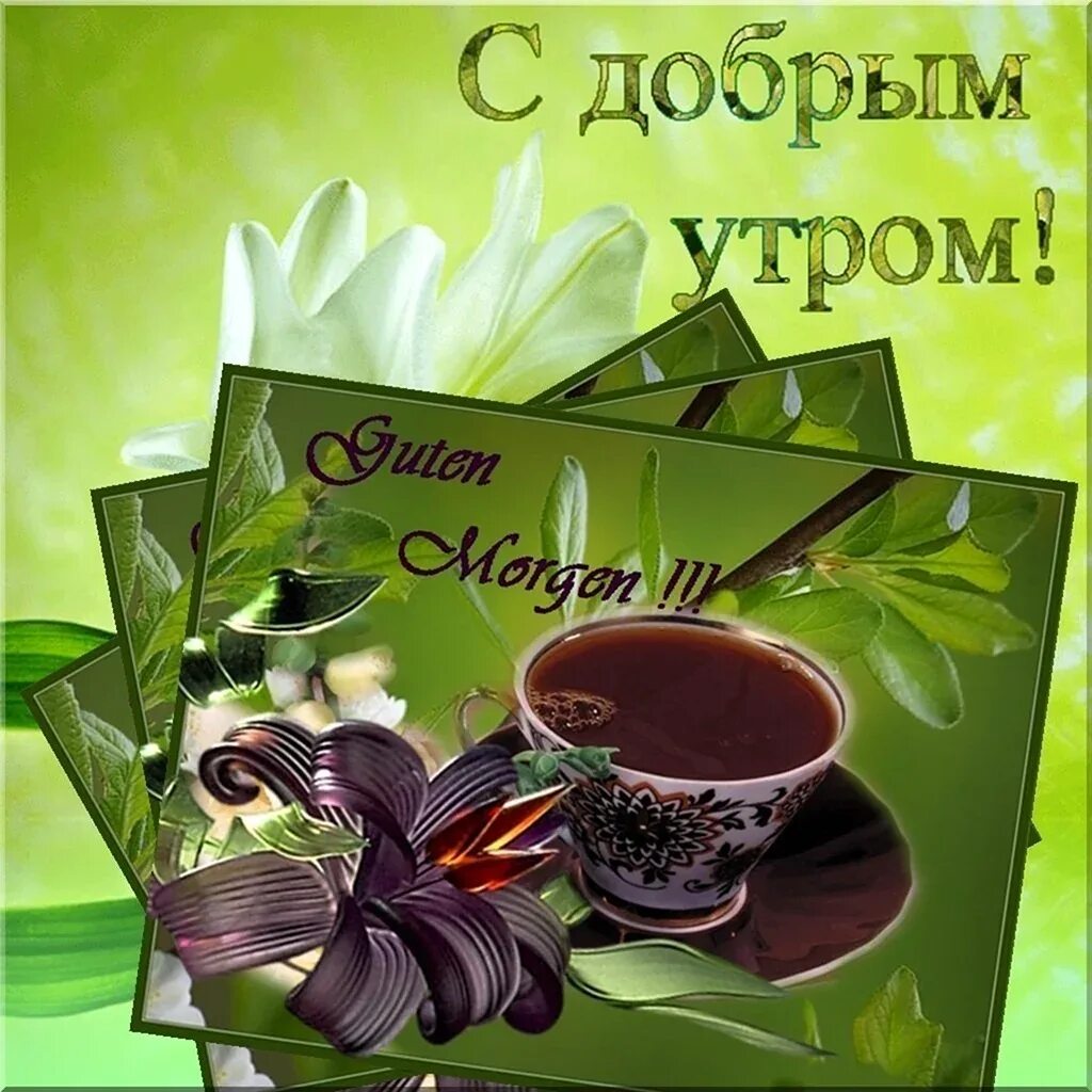 Картинки с добрым утром послала. Открытки с добрым утром. открытки с добрым утром красивые. открыточки с добрым утром. открытки с добрымиутром.