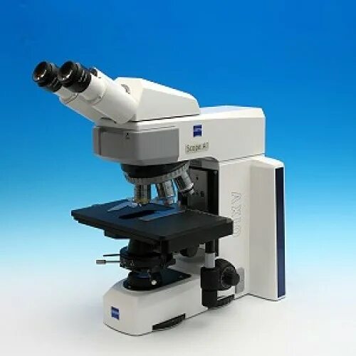 Axio macros. Zeiss axio scope a1 microscope. микроскоп axio lab a1. zeiss scope a1.