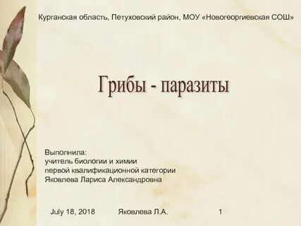 Есть ли грибы паразиты