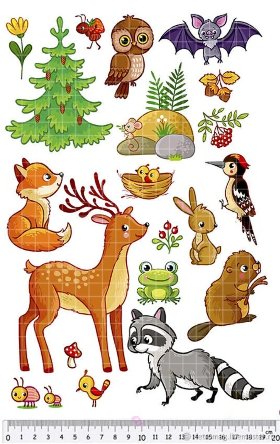 Лесные животные. Животные леса для дошкольников. Изображения животных для детей. Лесные зверюшки.