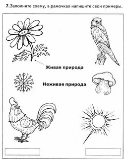 Тест по теме живая и неживая природа