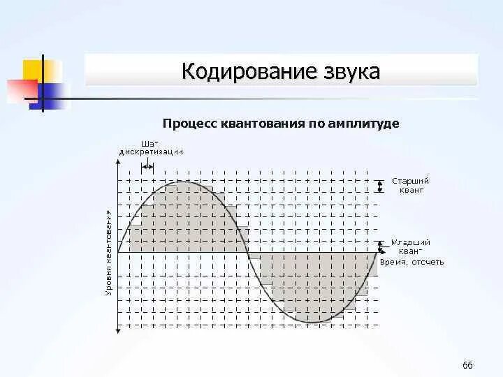 Кодирование звука изображения. Дискретизация квантование кодирование. АЦП дискретизация квантование кодирование. Дискретизация квантование оцифровка сигнала. Квантование по уровню.