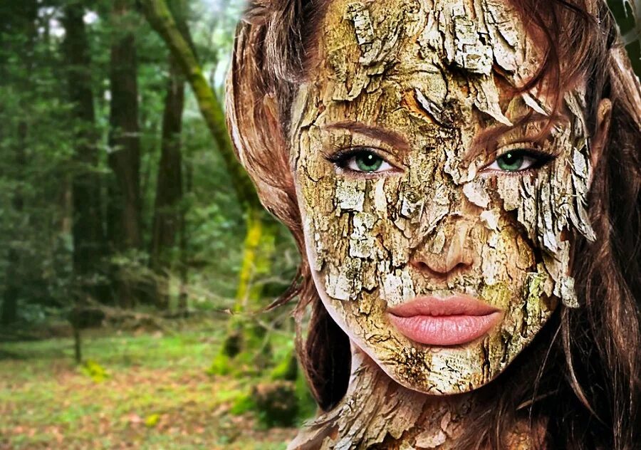 Девушка дерево арт. Дриады лоран огюст. Девушка превращается в дерево. Девушка станет деревом. Дриада нимфа дерева.