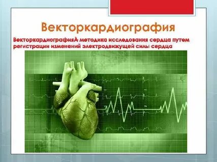 Исследуйте сердце
