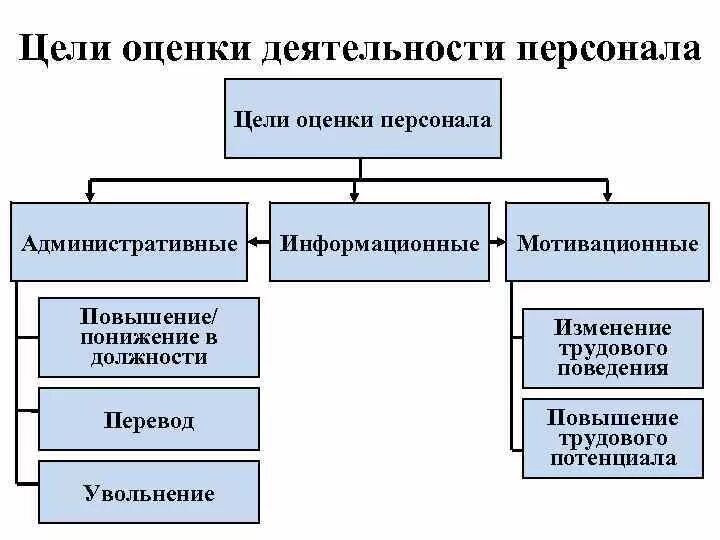 Цели оценки персонала в организации. Основные цели оценки персонала организации. Каковы цели оценки персонала?. Основные задачи оценки персонала.