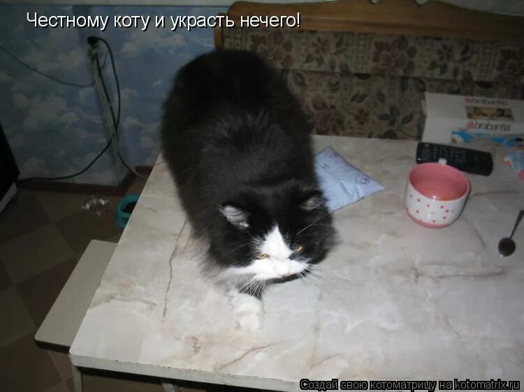 нечего украсть