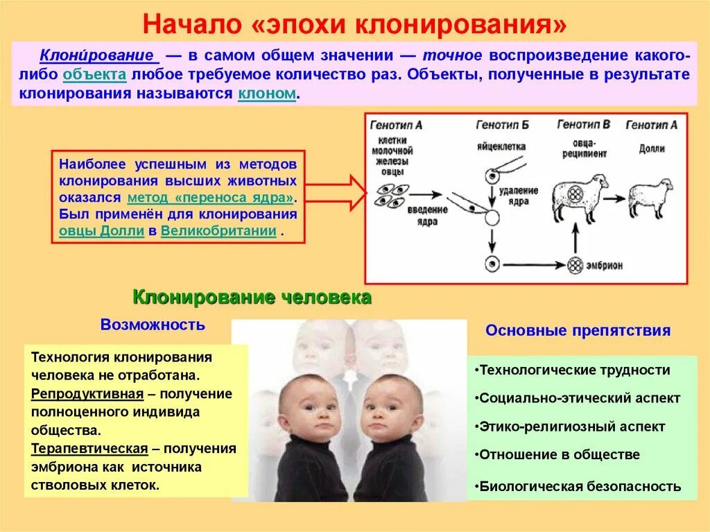 Клонирование человека биологические. Клонирование метод в генетике. Репродуктивное клонирование человека. Признаки клона