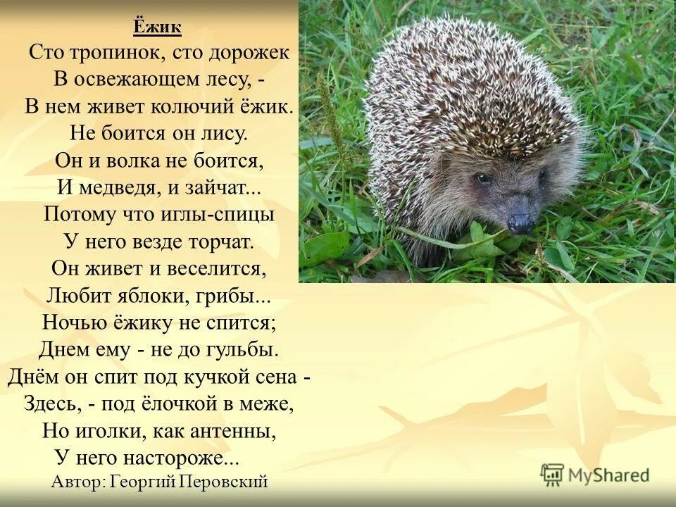 Основная мысль текста ежик загадочный друг