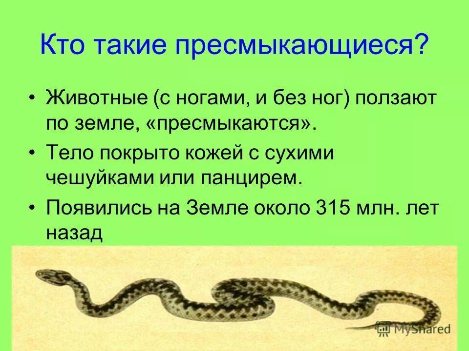 Биология 8 класс тема пресмыкающиеся