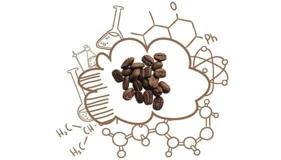 Химический состав кофе. Хим состав кофейного зерна. Химический кофе. Формула кофейного зерна.