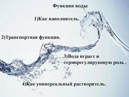 Какую функцию выполняет вода