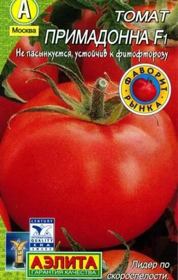 Томат гибрид Примадонна. Сорт помидор Примадонна. Примадонна семена помидор. Томат Примадонна f1.
