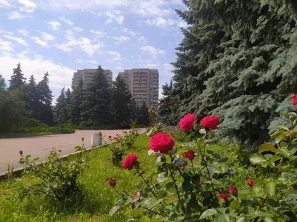 Город светлодарск донецкая