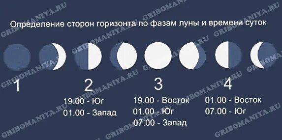 Определение сторон горизонта по полной луне. Определение сторон горизонта пл луге. определение сторон горизонта по луне. ориентирование сторон горизонта по луне. определить стороны горизонта по луне.