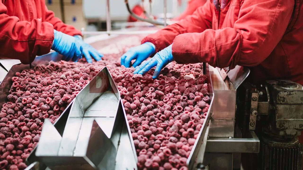 завод по производству варенья. производство замороженных продуктов. производство ягод. заготовитель продуктов и сырья. производство переработка фруктов и овощей.