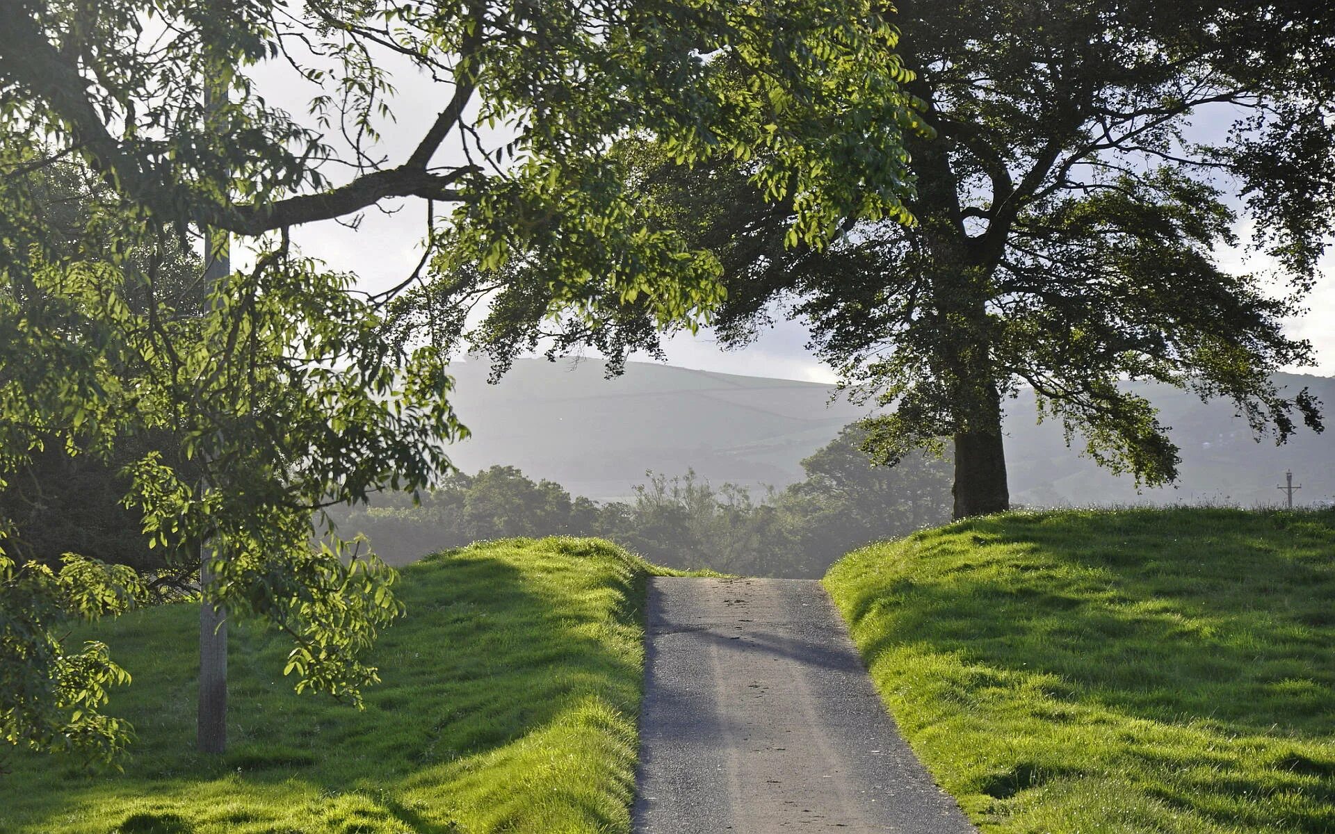 Countryside walks. Шварцвальд тропа. Пейзаж с дорогой. Дорога в лесу. Природа летом.