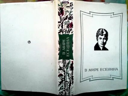 Есенина 23