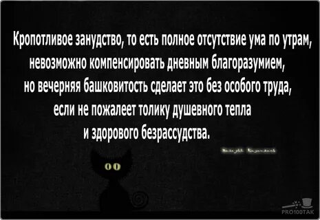 Зануда привычка текст