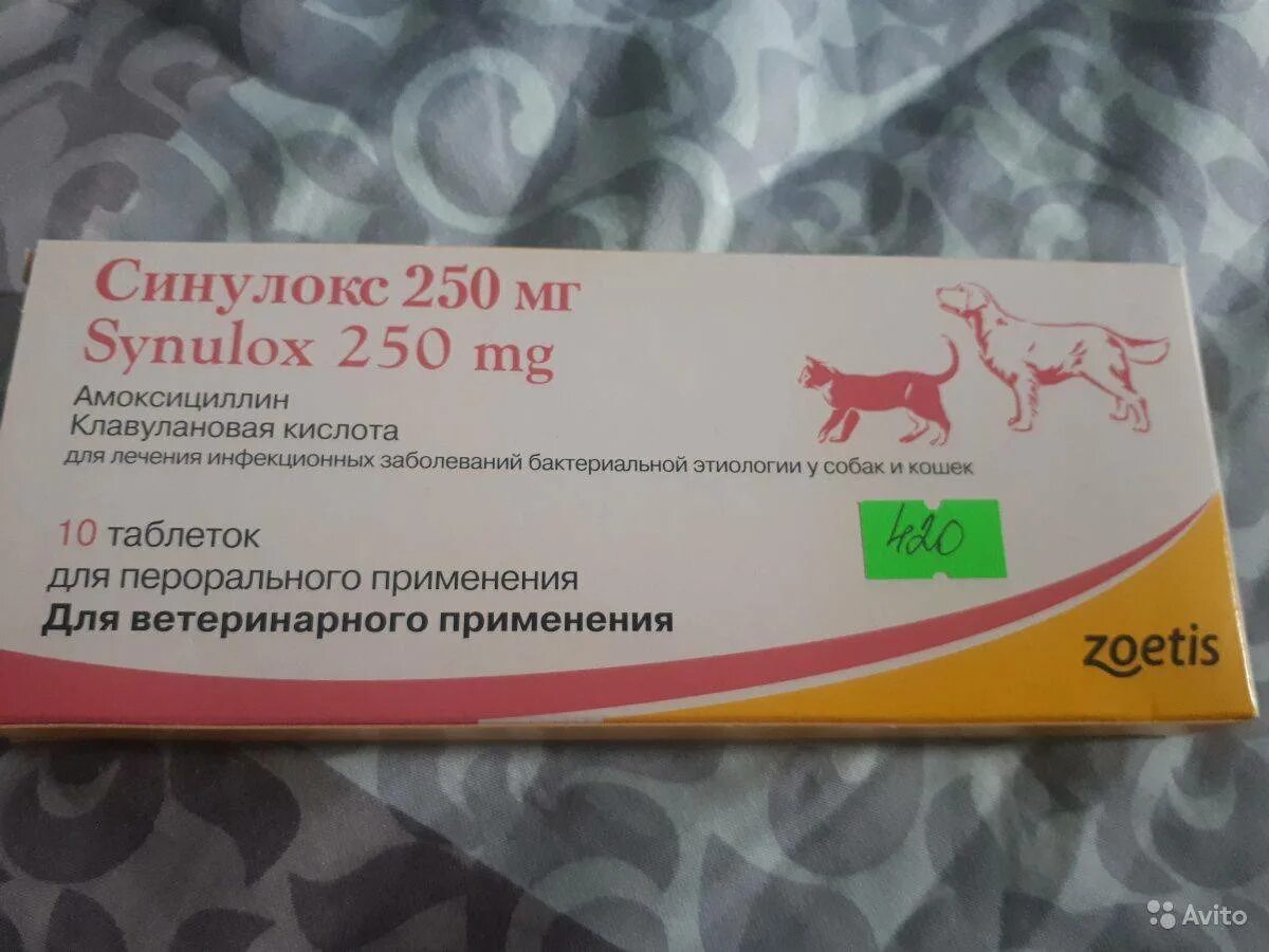 Синулокс для кошек 250мг. Синулокс 50 мг таблетки. Синулокс для кошек 50.