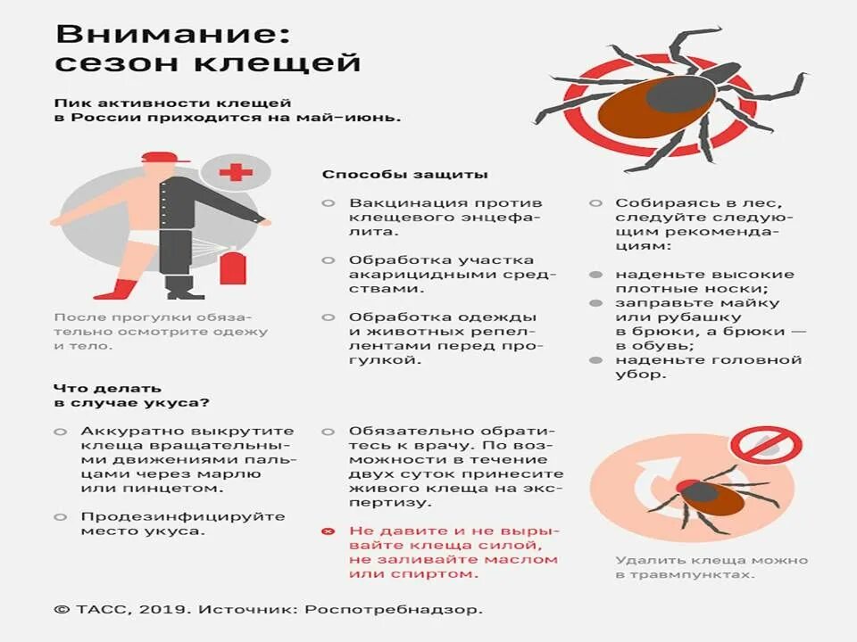 Профилактика клещевых инфекций тест. Памятка клещевой энцефалит памятка. Санбюллетень профилактика клещевого энцефалита. Прививка клещевого энцефалита памятка. Памятка по вакцинации от клещевого энцефалита.