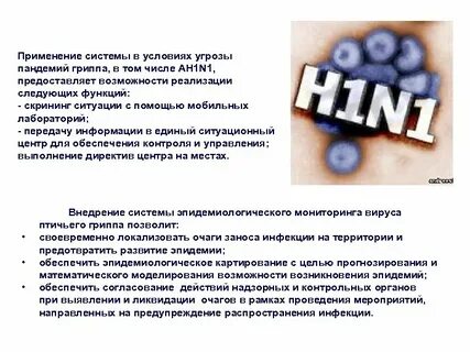 Цель пандемии