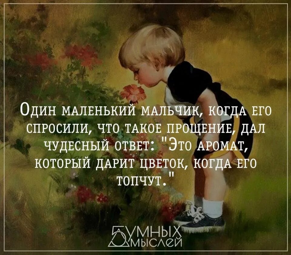 Прощение. Прошение. Один мальчик когда его спросили что такое прощение. С прощенным. Что дает прощение