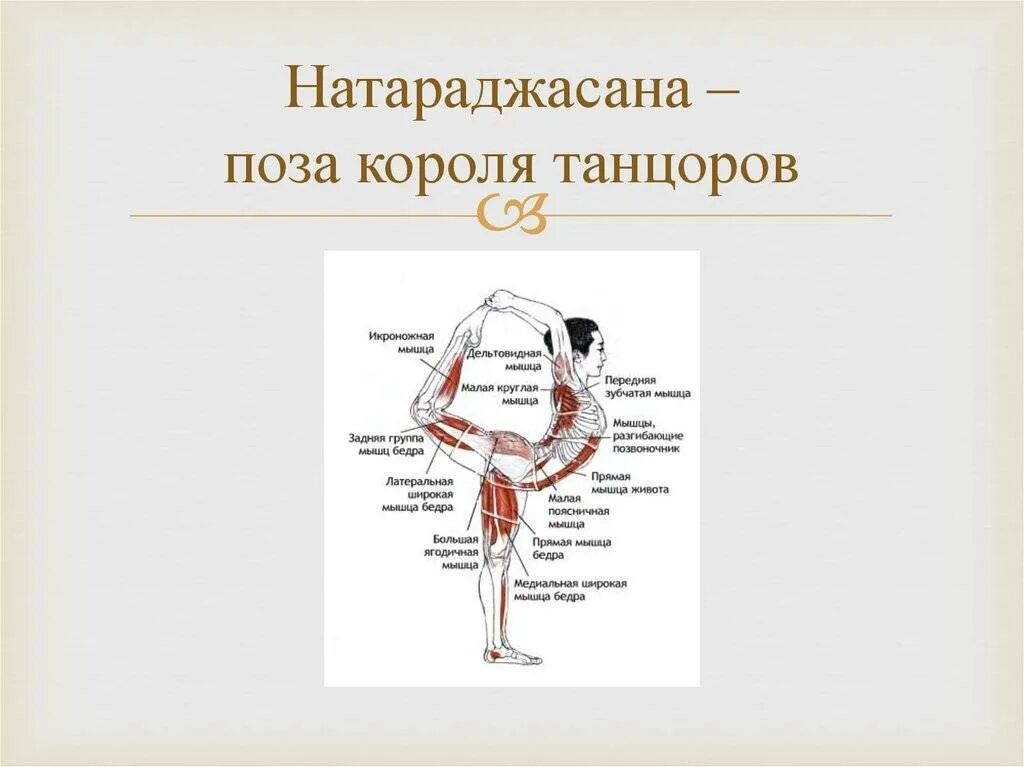 Натараджасана. Асана Натараджасана. Поза короля танцев/Натараджасана. Поза танцора йога. Натараджасана точки контроля.