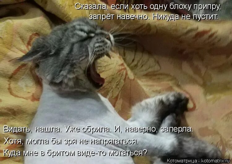 говорят любопытство до добра не доведет. брайан тест уровень 92. русский язык 3 класс 2 часть канакина горецкий страница 84 упражнение 146. говорят любопытство до добра не доведет. говорят любопытство до добра не доведет.