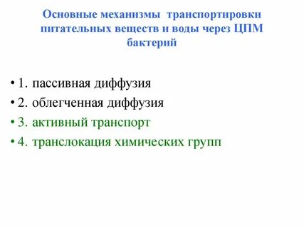 Транспортирует питательные вещества