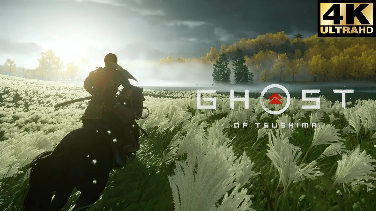 Ghost of tsushima directors cut ошибка. Ghost of tsushima куросава. ghost of tsushima броня саругами. ghost of tsushima ps5. ghost of tsushima обои.