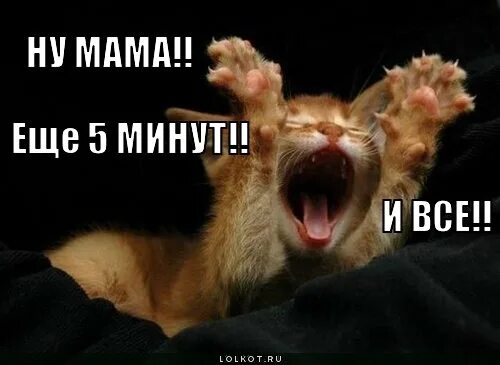 Мам еще 5 минут