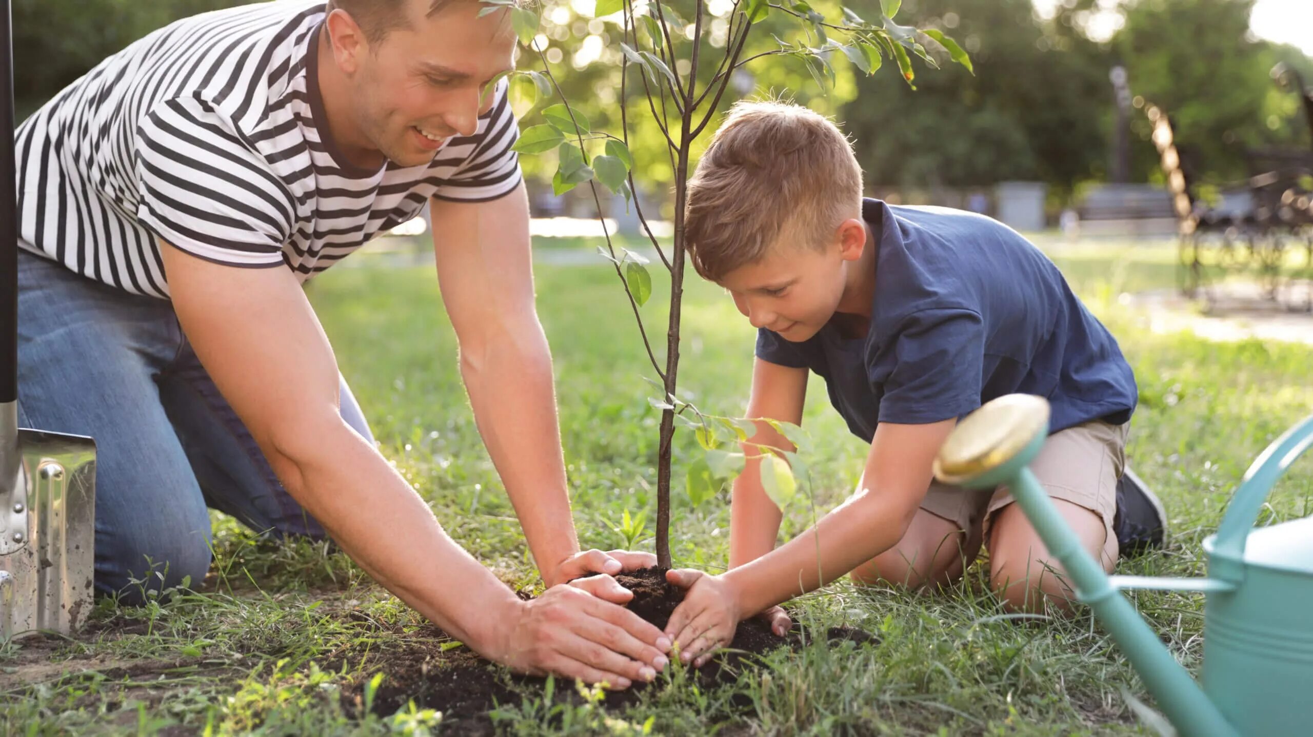Включи папа на дереве. Дети сажают деревья. Отец и сын сажают дерево. Сажают деревья в парке. Посадка деревьев в парке.