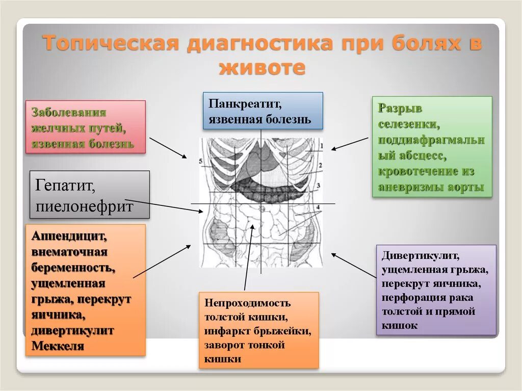 Локализация боли в брюшной полости. Топическая диагностика при болях в животе. Выявление острого живота. Классификация острой боли в животе. Заболевания локализация боли