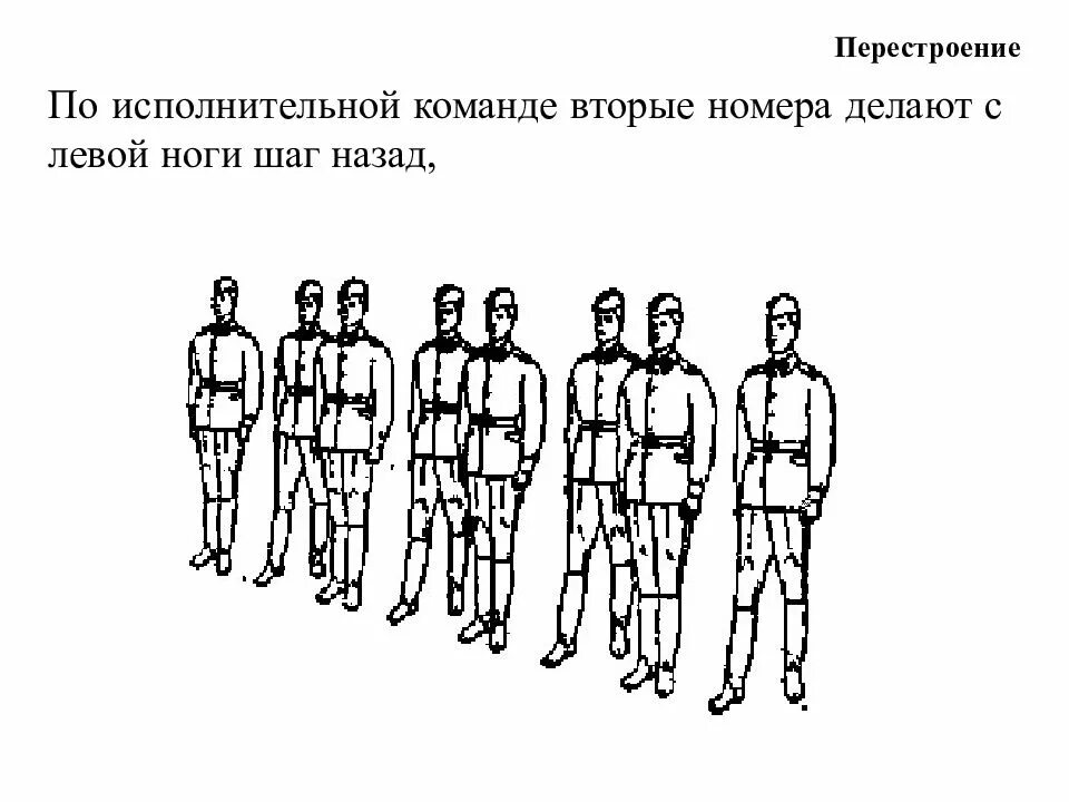 Перестроение в шеренгу. Построение в две шеренги. Перестроение из одной шеренги в две. Перестроение из одной шеренги в две и три.