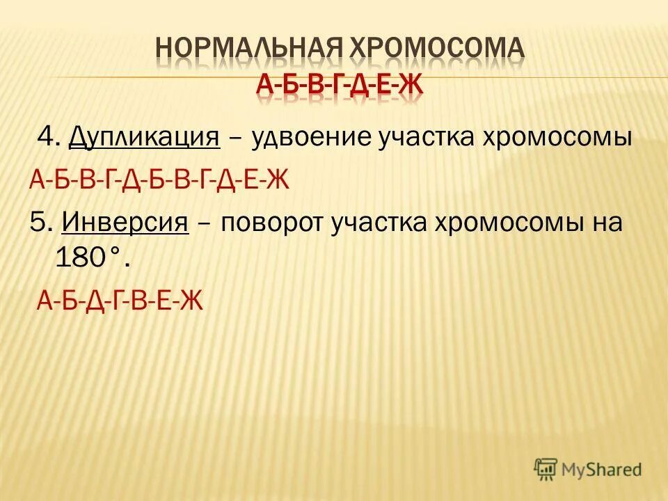 Удвоение участка хромосомы. Поворот участка хромосомы на 180° (инверсия). Дупликация. Удвоение участка хромосомы это мутация. Хромосомные удвоение участка хромосомы