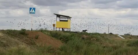 П южный самарская область погода