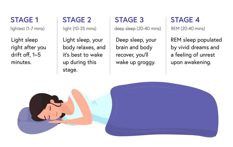 Sleep phases. Rem Sleep non Rem Sleep. Stages of Sleep. Sleep Cycle. Спати перевод