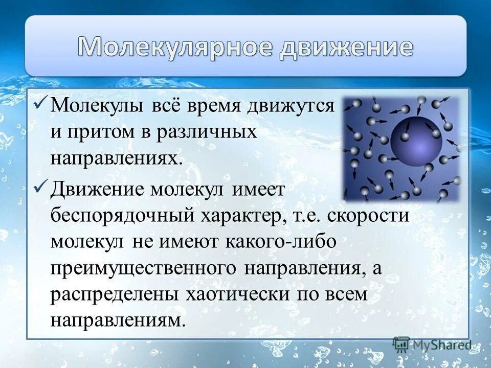 Кто открыл явление беспорядочного движения частиц. Броуновское движение молекул. Форма молекулярного движения. Молекулы движутся. Броуновское движение диффузия.