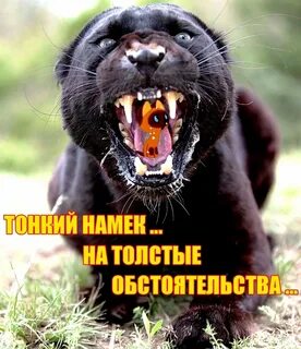 Намек иносказание