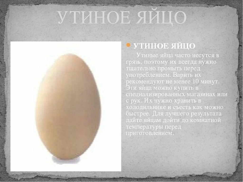 Яйцо калораж. Утиные яйца. гусиное и куриное яйцо. утиное и куриное яйцо. утиные и гусиные яйца.