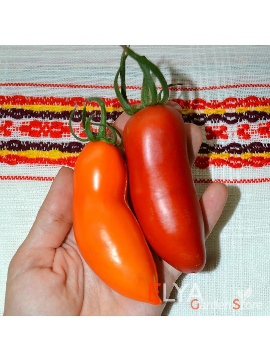 Сорт помидор пальмира. Семена томата пальмира. Сорт помидор пальмира. Томат пальмира. Томат пальмира характеристика.
