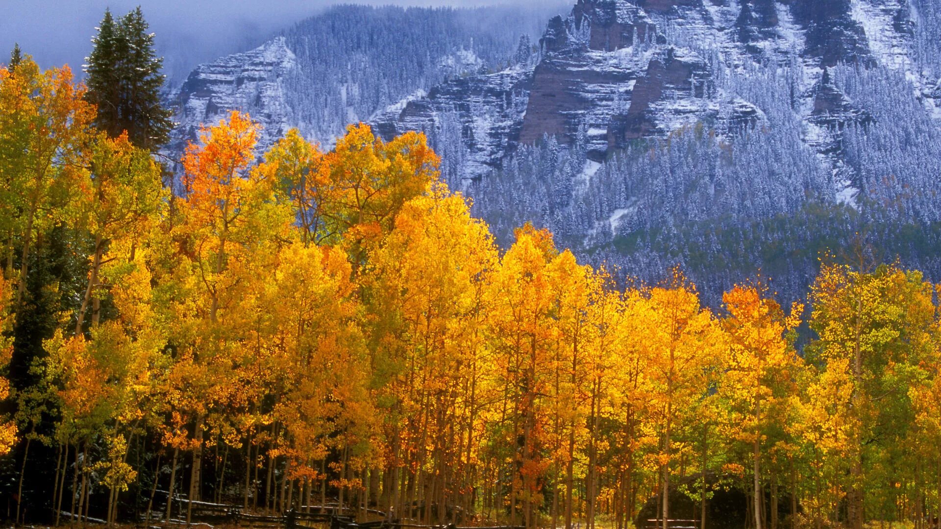 Осень фото красивые. Леса Колорадо. Осенняя природа. Пейзаж осени. Осенние горы.