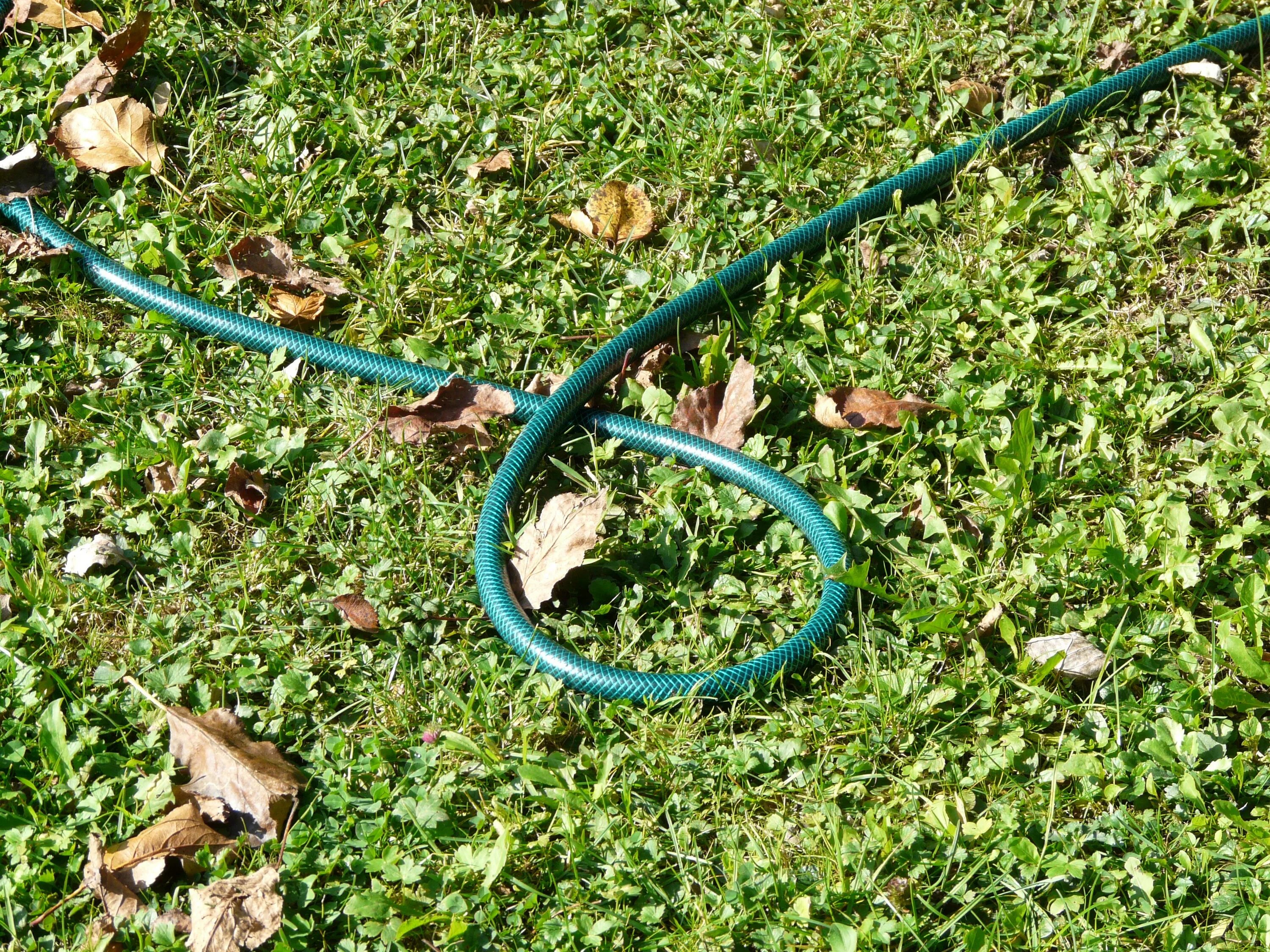 Шланг пропускает воду. Шланг Water Hose. Шланг садовый. Шланг зеленый. Шланг на траве.