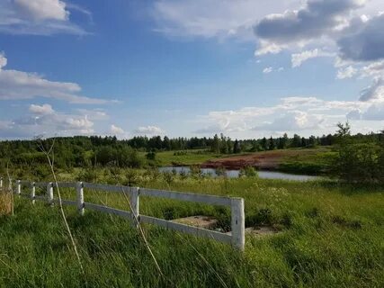 Погода тарасово тосненский ленинградской