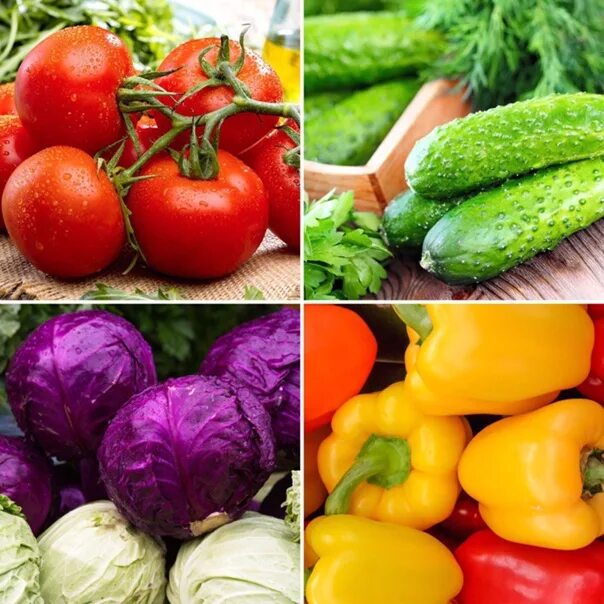 Тарелка с овощами. Свежие овощи и зелень. Огурец помидор перец вместе. Огурцы в томате. Томаты огурцы зелень.