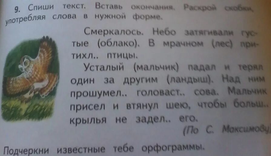 Спиши текст. Орфограмма в слове смеркалось. Смеркалось небо затягивали густые. Спиши текст в лесу.