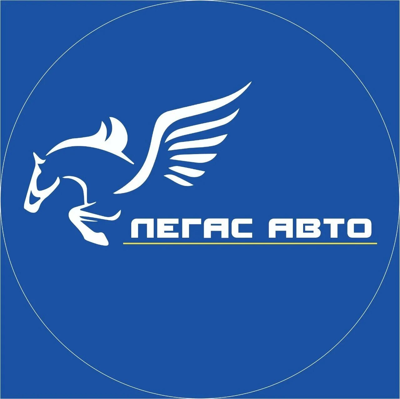 Пегас пятигорск. Пегас авто. пегас авто логотип. марка машины с пегасом.