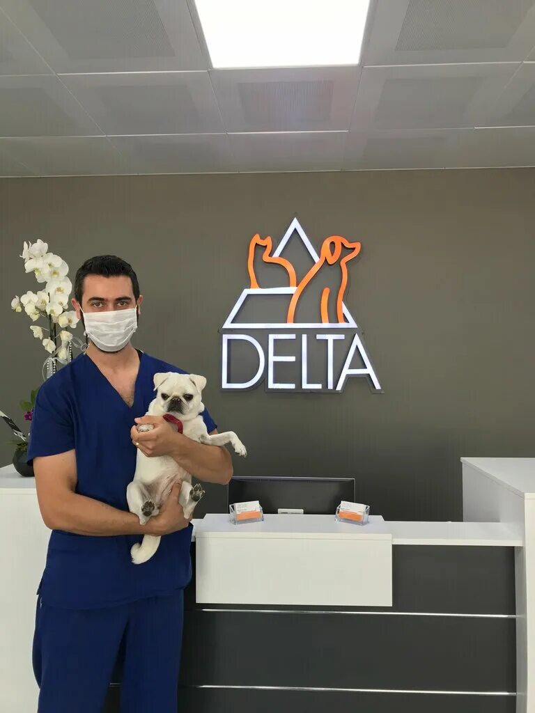 дельта клиника спб. клиника дельта мурманск. ереван делта клиник. дельта клиник на курской. Delta clinic.