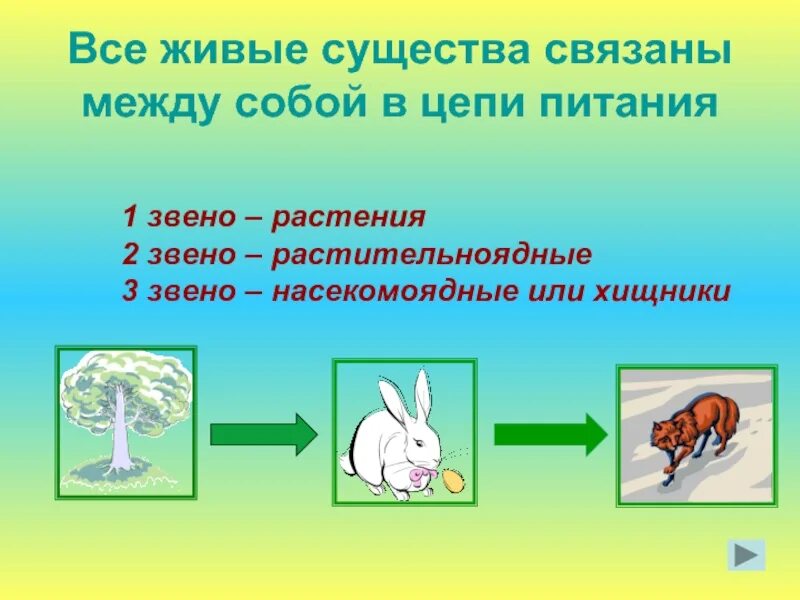 Презентация 3 класс цепи питания животных