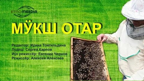 Видео отаров